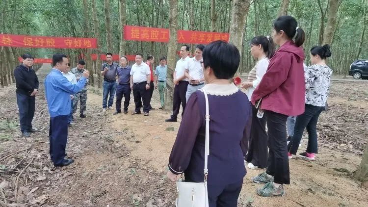 全國割膠冠軍張健給各單位學員做標準化膠園建設及割膠技術的經驗介紹。.jpg